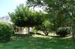 Le jardin 